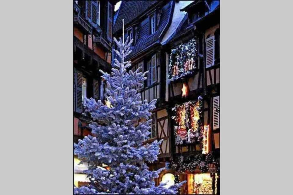 Coeur Alsace Apartment Colmar Luaran gambar