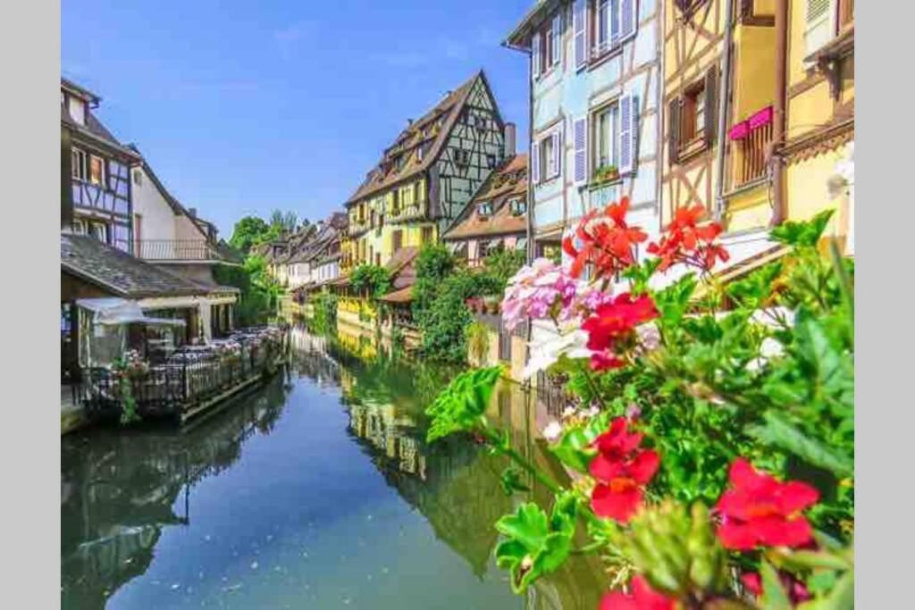 Coeur Alsace Apartment Colmar Luaran gambar