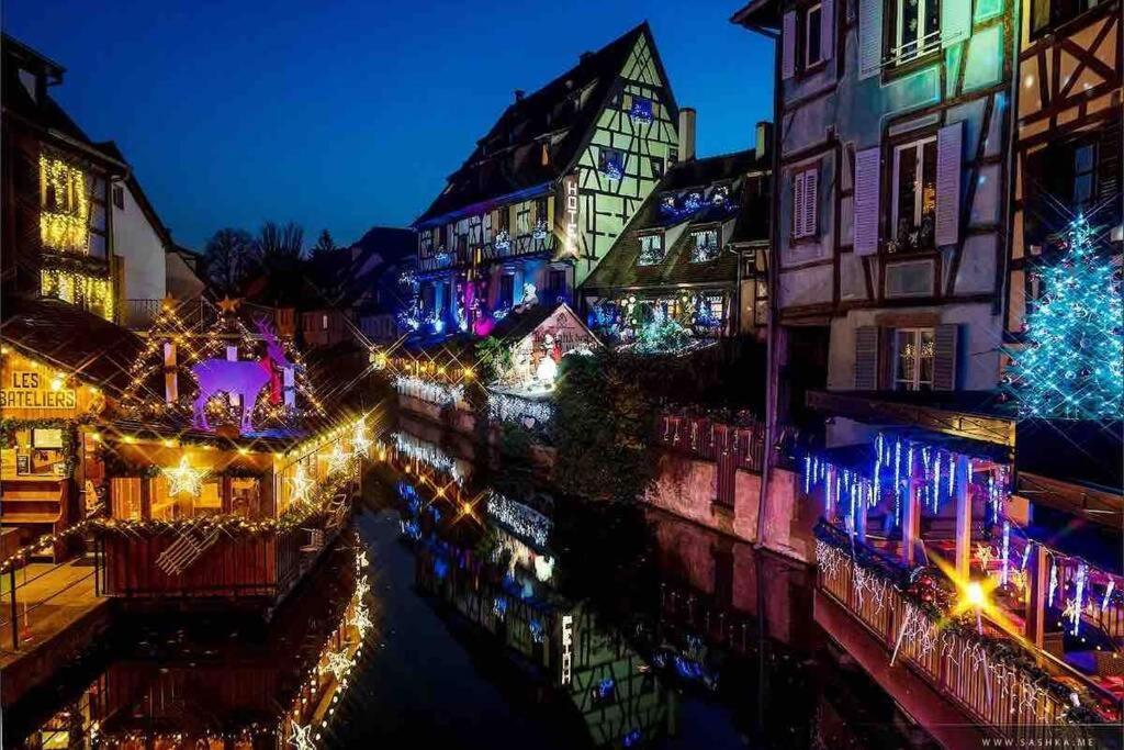 Coeur Alsace Apartment Colmar Luaran gambar