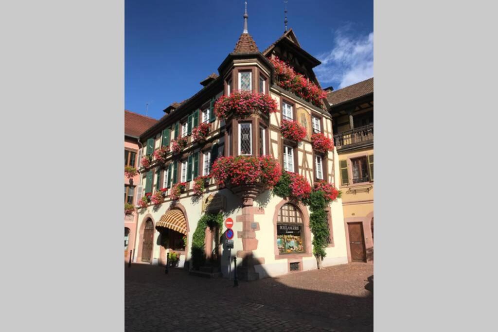 Coeur Alsace Apartment Colmar Luaran gambar