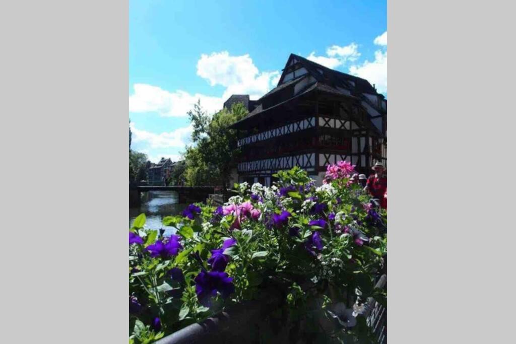 Coeur Alsace Apartment Colmar Luaran gambar