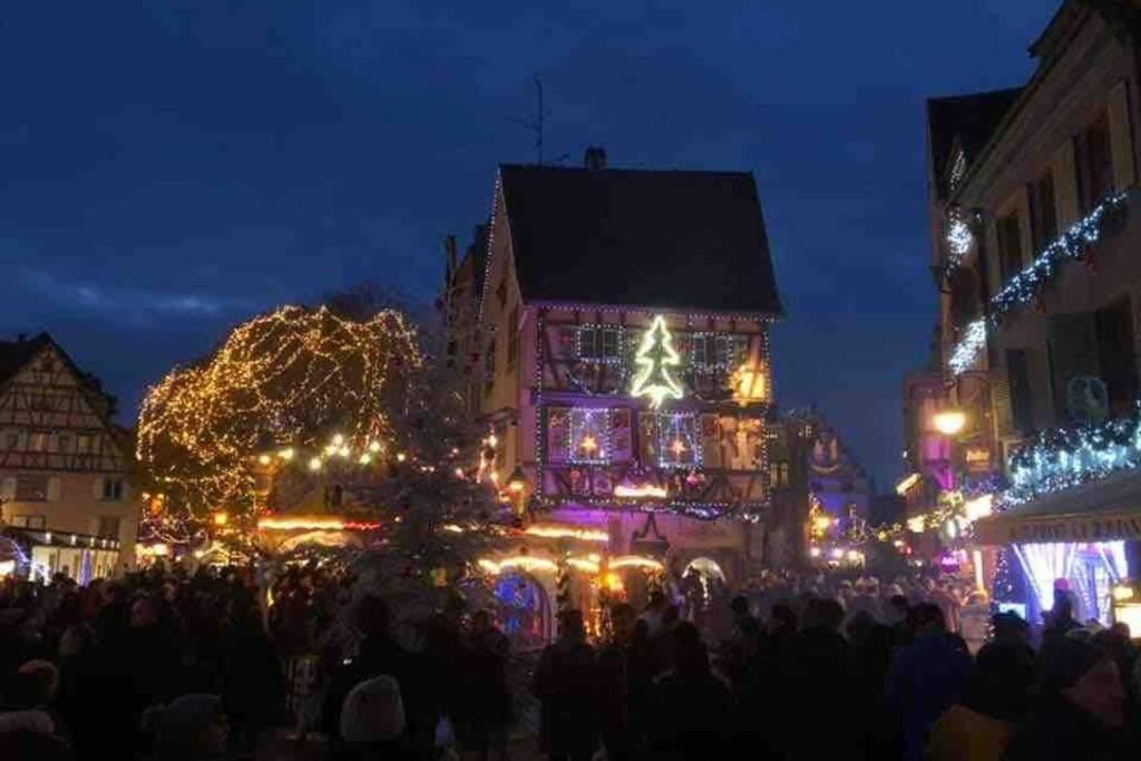 Coeur Alsace Apartment Colmar Luaran gambar